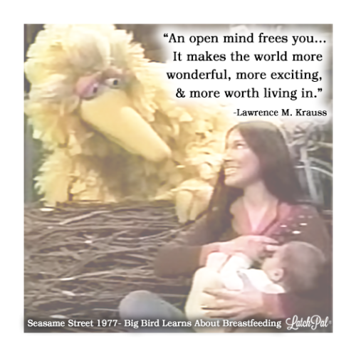 Big Bird Learns about Breastfeeding| Sesame Street
