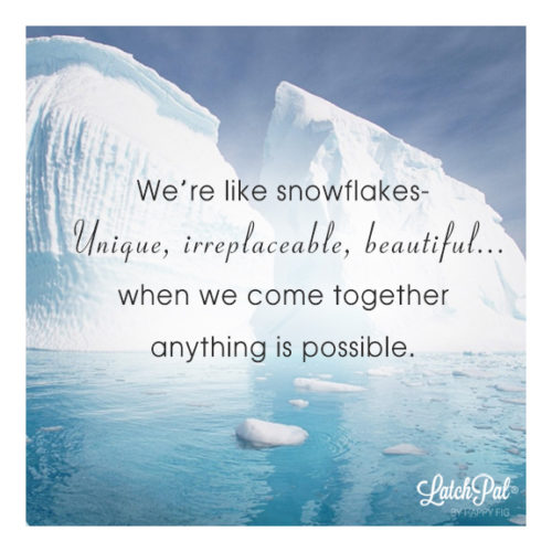 We're like Snowflakes. Stronger Together.